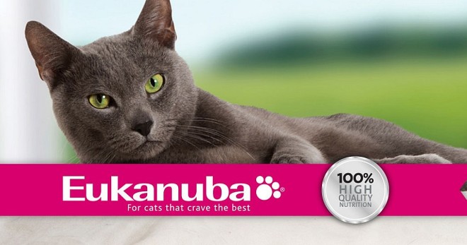 Mushuklar uchun Eukanuba - assortimentga umumiy nuqtai