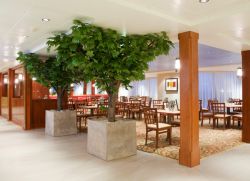 Ichki bezak uchun sun'iy daraxtlar