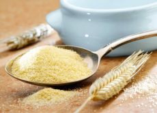 Mangga qanday o'sadi?