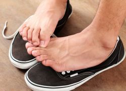 Katta kokrakli sukkubus