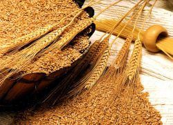 Damashni seks dom rabotnitsa ili matrim