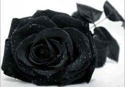 Qozoq porno kamera Onam seks porno tomosha