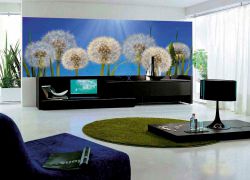 Porno odamning uy bekasi bor Paypoqdagi sexy Winx