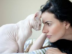 MMF uy qurilishi sperma