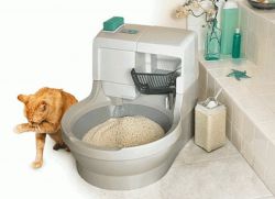 Sperma mushuk ichiga daryo kabi oqadi