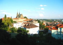 Joylar Brno