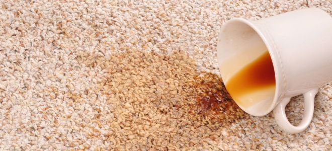 Uyda gilamni qanday tozalash kerak?