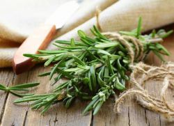 Rosemary - foydali xususiyatlar va kontrendikatsiyalar