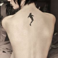 Shark zarb - qiymati