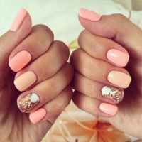 Tirnoqlar uchun jel-bo'yoq