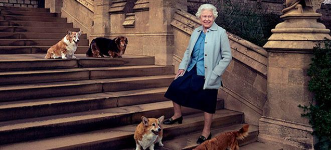 Baldy rus tiliga tarjimasi bilan bepul porno filmlar yuklab olish