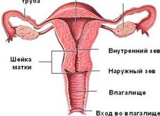 Yiringli qon ketishi