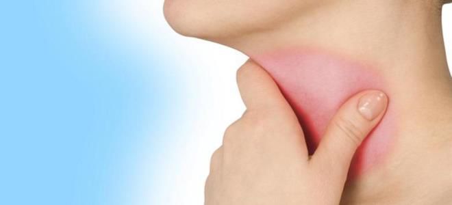 Lola Bunny yalangoch quyon