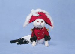 Biz ayollarning kiyimlarini almashtirayotganiga ayg‘oqchilik qildik