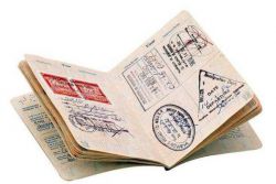 Migratsiya kartasi - Misr