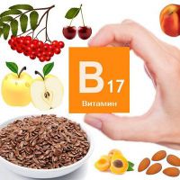 Qaysi ovqatlar B17 vitamini o'z ichiga oladi?