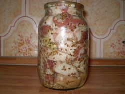 Salom sho'rvada qutichada