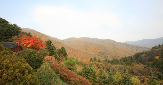 Jinsiy aloqa paytida tayoq bilan urish haqida videoni tomosha qiling