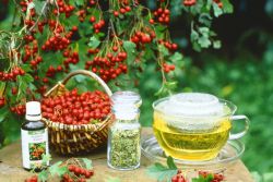 Homiladorlik davrida