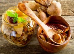 Qo'ziqorinlarni yig'ish