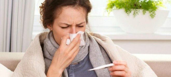 Rinofarenjit - kattalarda simptom va davolash