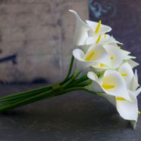 Rus onasi oglining sikini soradi