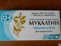 Bolalar uchun Mukaltin