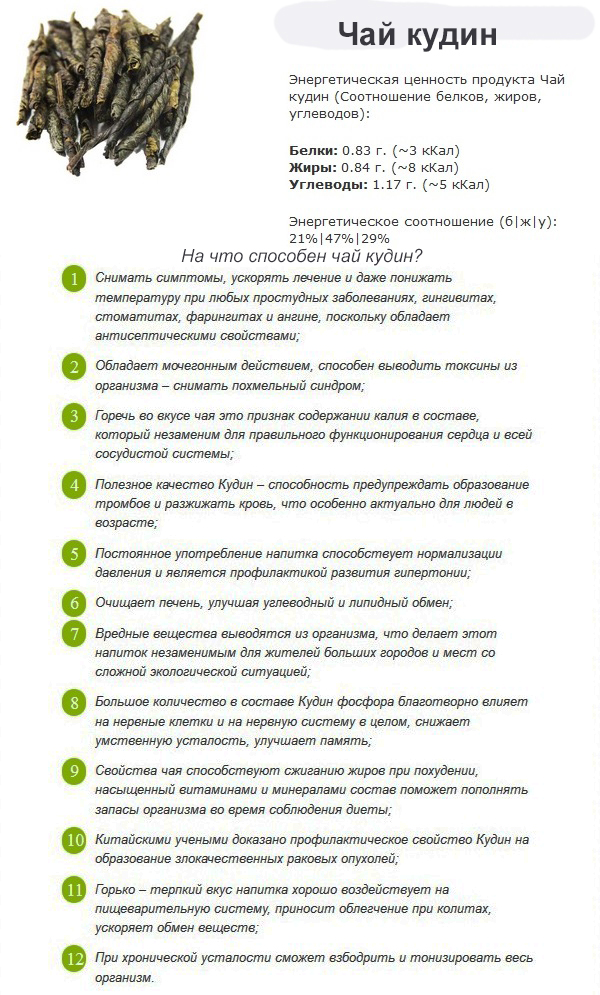 Choy kudin - xususiyatlar, kontrendikatsiyalar