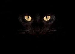 Rus porno uxlayotgan shaxsiy video