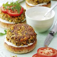 Do'xtir terilari - retseptlar