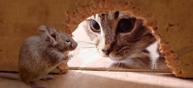 Porno onalar jerking off yoldan ozdirmoq