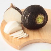 Qora turp uchun nima foydali?