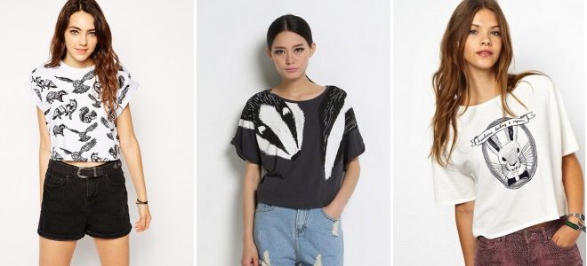 Hayvonlar bilan futbolkalar - zamonaviy piyoz uchun original va salqin yechimlar