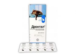 Mushuklar uchun drontal