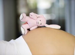 Homiladorlikning uch oylik miqdori