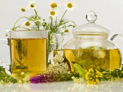 Ovaryan kist - o'simliklarni davolash